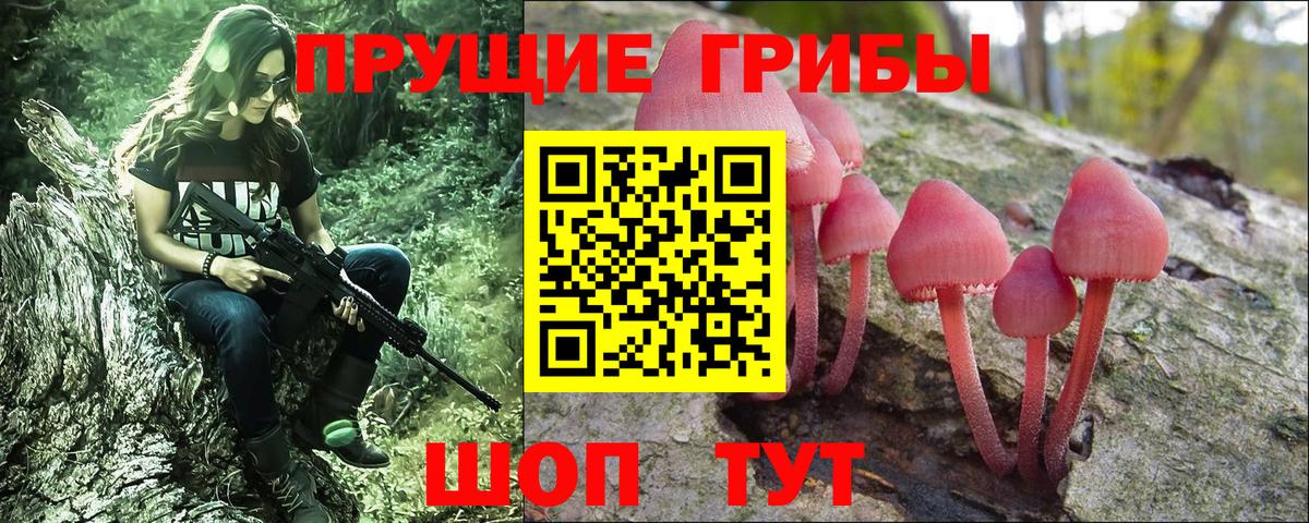 Тавда  купить наркотик  Вход с VPN  Псилоцибиновые грибы мицелий  Галлюциногенные грибы прущие грибы 