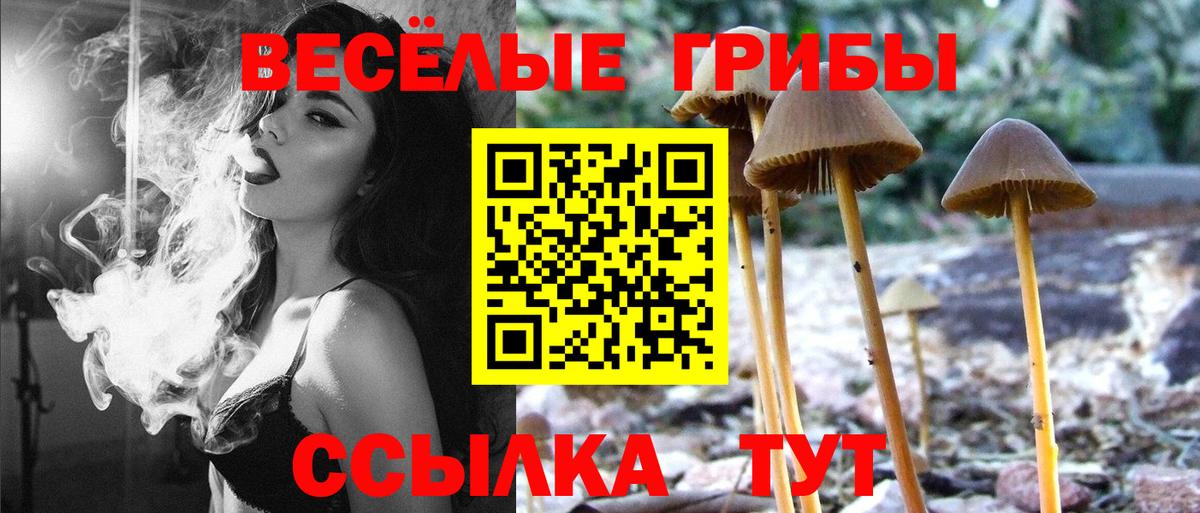 Галлюциногенные грибы мухоморы Тавда